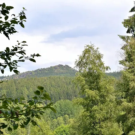 شقة Bayerischer Wald 3 دراخسيلسريد
